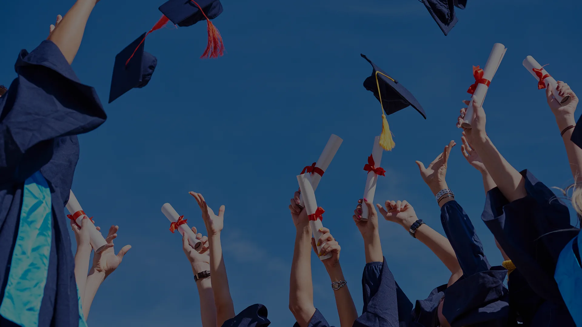 ¿Qué es una titulación automática y por qué deberías buscarla?